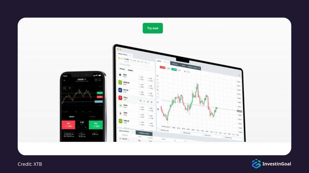 General View of the Trading Platforms on XTB